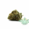 Ice Cream Kush