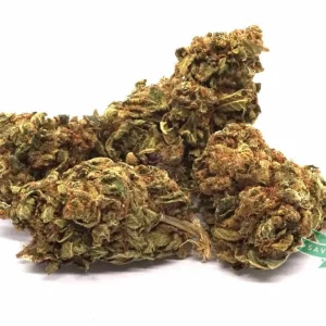 Jamaican (AA+)