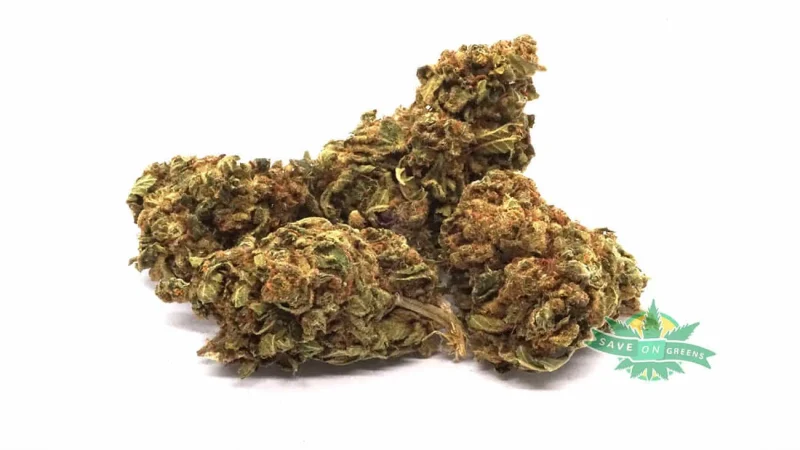 Jamaican (AA+)