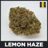 lemon-haze
