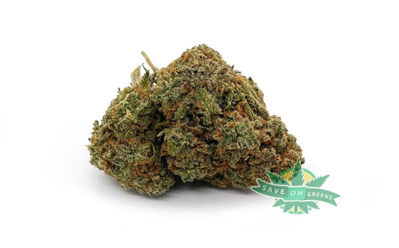 mango haze b
