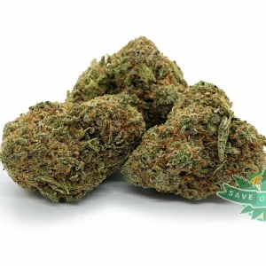 Master Tuna (AA+)