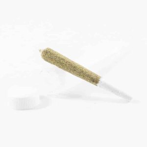 Medusa Botanical Bangers Premium Prerolls
