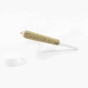 Medusa Botanical Bangers Premium Prerolls