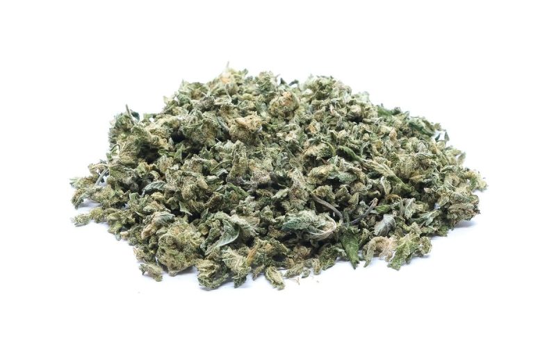 Nuken Shake