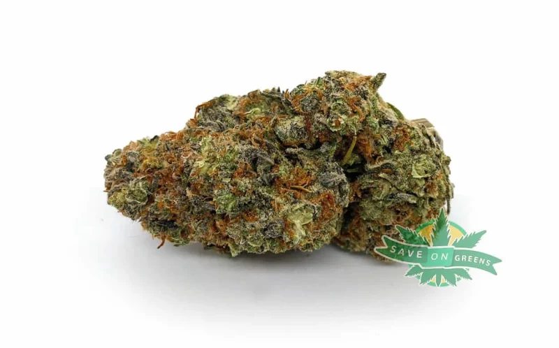 ojc