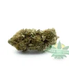 Orange Cookies