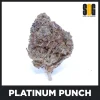 Platinum Punch AA - Small