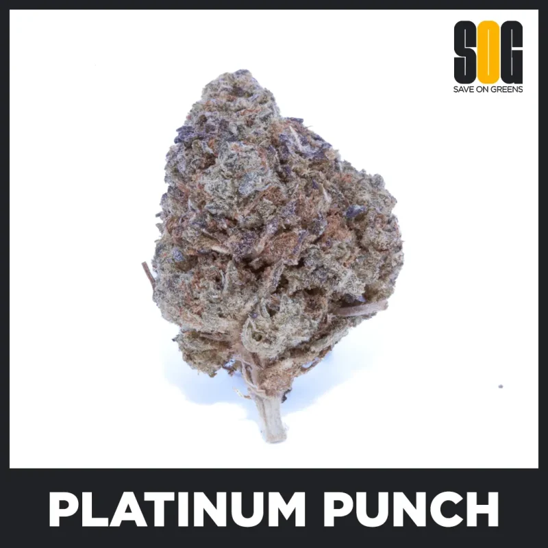 Platinum Punch AA - Small