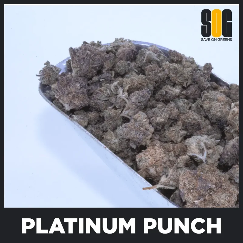 Platinum Punch AA - Small