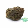 purplepunch scaled 1