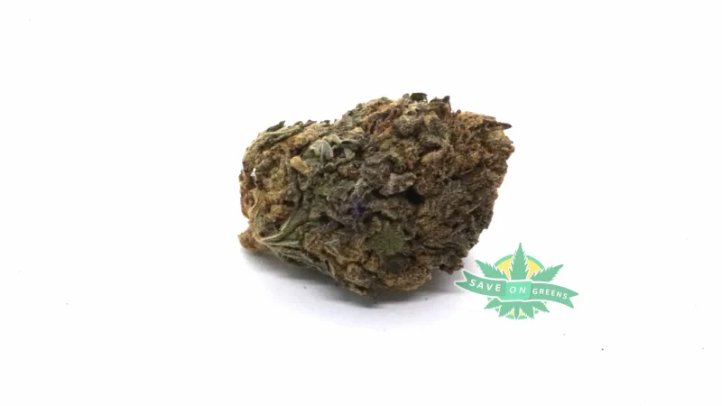 purplepunch scaled 1