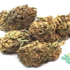 Purple Punch (AA)