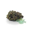 purpleurkle