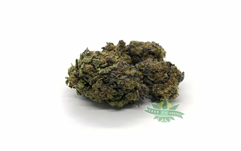 Purple Urkle (AA)