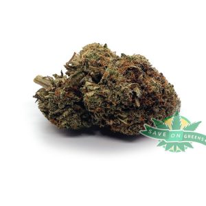 Sensi Star (AA+)