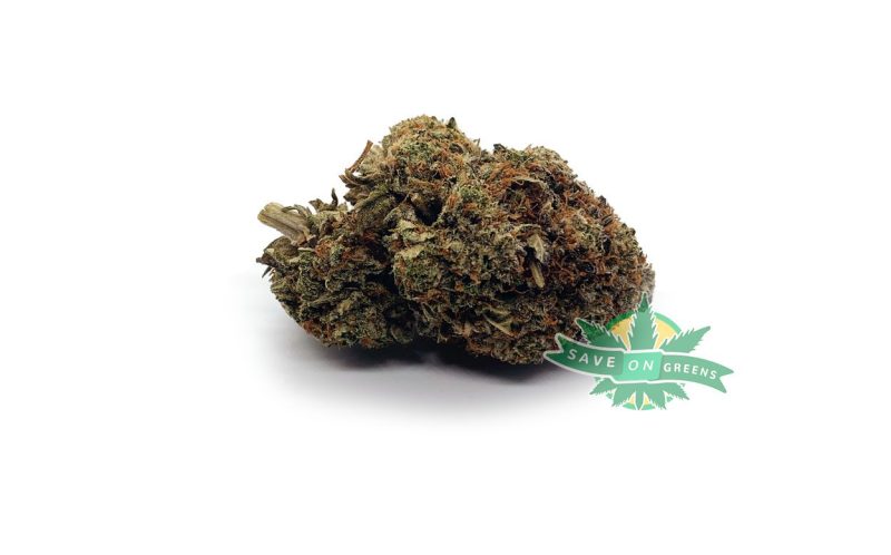 sensistar
