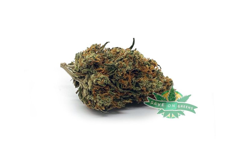 sherbert