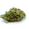 skunk3