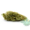 white widow cheese