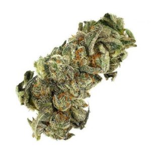 Tahoe Cookies