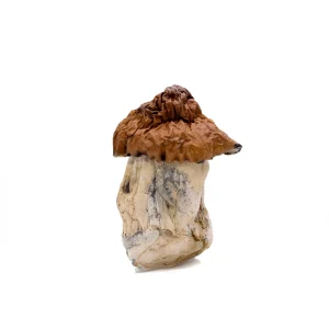 Bluey Louie Magic Mushrooms
