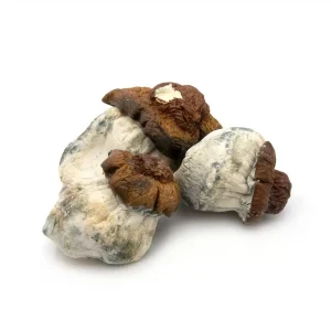 Bluey Vuitton Magic Mushrooms
