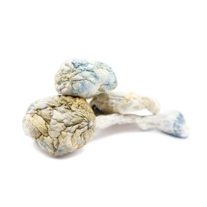 Alien Bubble Magic Mushrooms