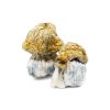 Avalanche Magic Mushroom