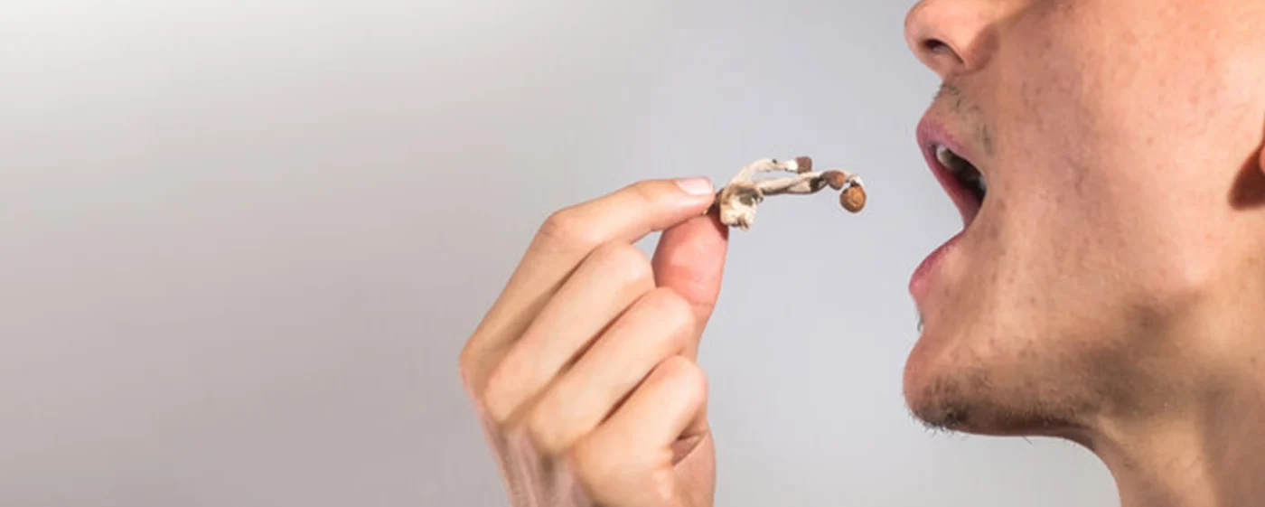 Best Ways to Take Mushrooms