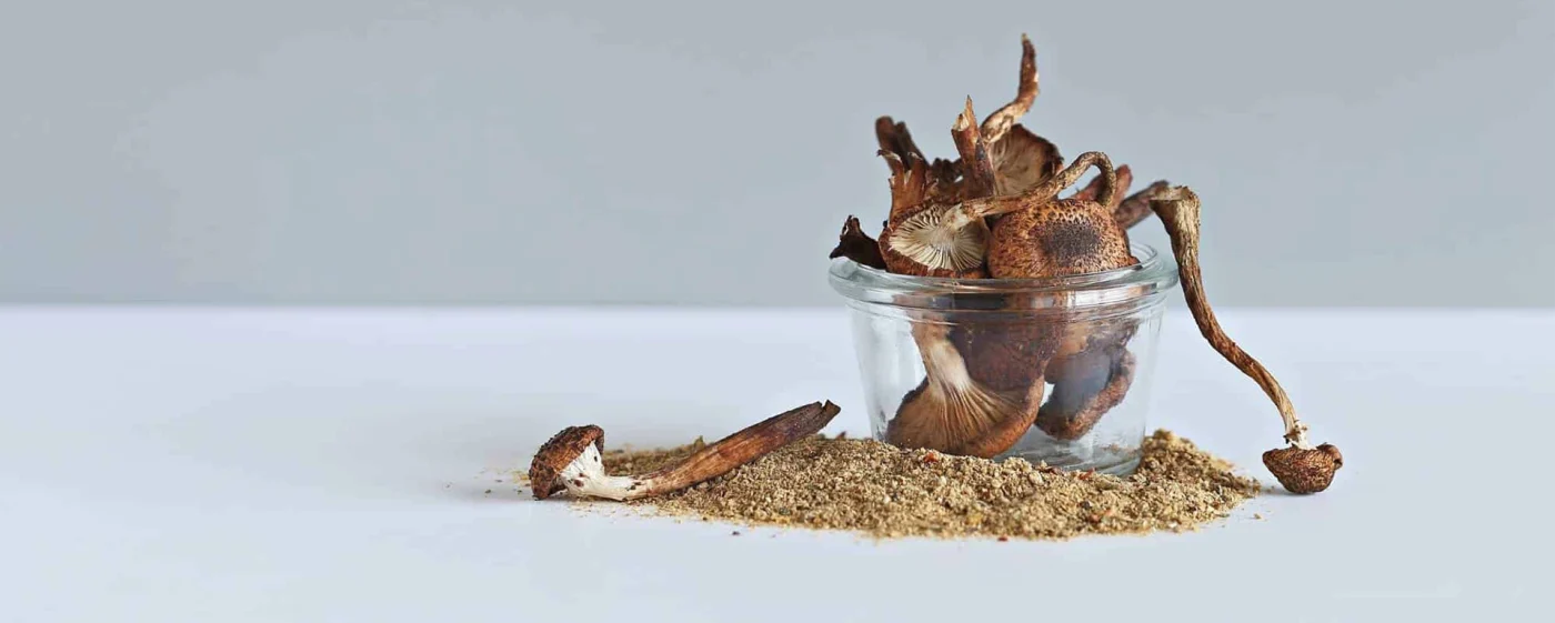 How Long Do Shrooms Stay in Your System