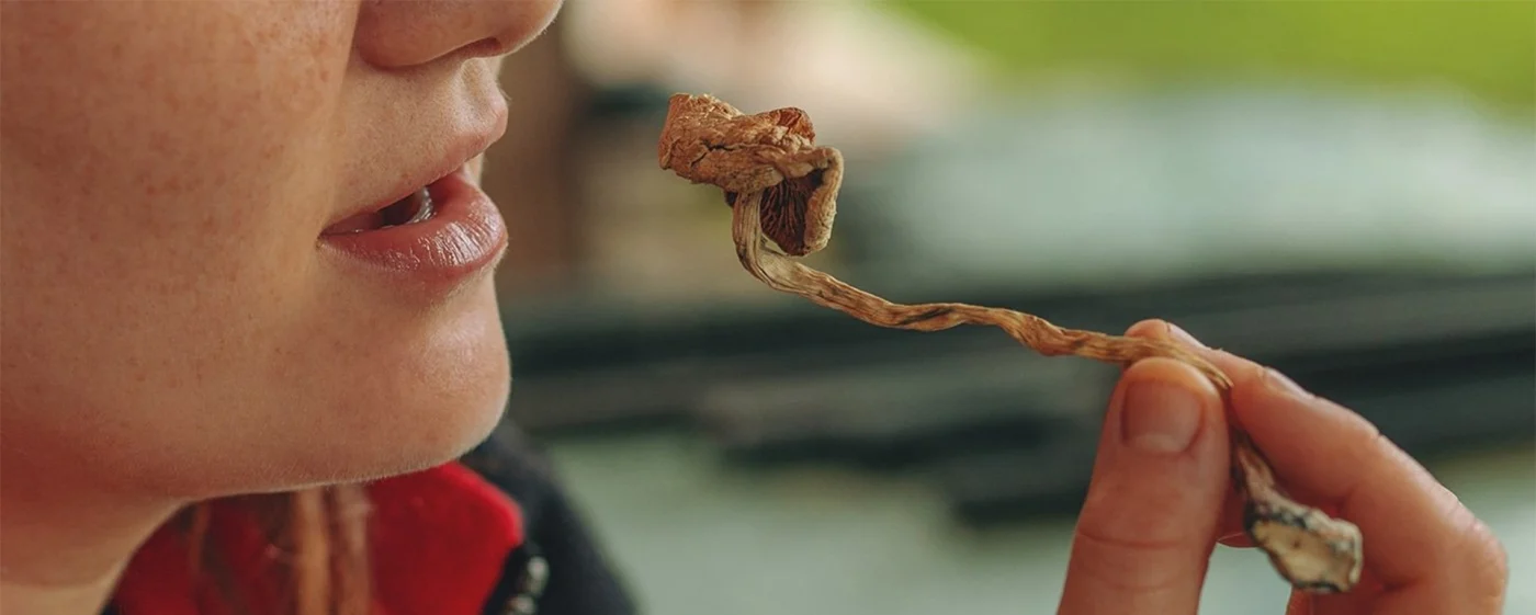 How Much Shrooms Should You Take