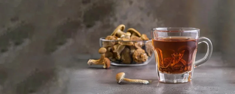 A tea cup with mushrooms on the side.