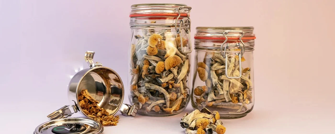 How to store shrooms and how long do they last